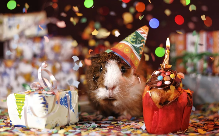 Birthday